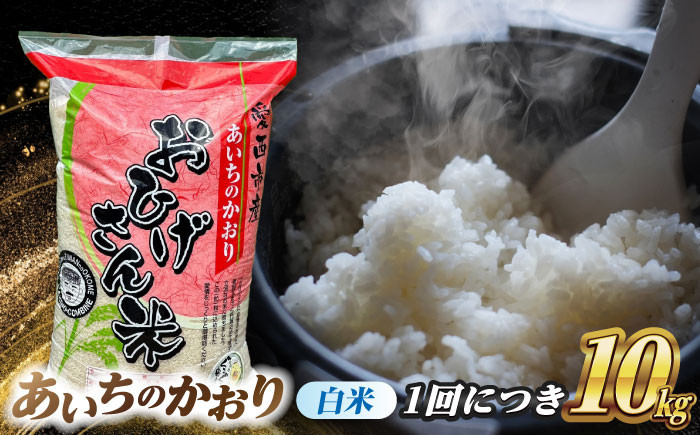 米 お米 10kg 10キロ 定期便 白米 精米 愛知県 あいちのかおり