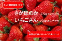 【ふるさと納税】あま～い！！キンド酵素栽培いちご 【さがほのか270g×2パック・いちごさん270g×2パック】数量限定！！（AE028）