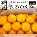 【ふるさと納税】予約受付 佐賀県産 みかん 約2kg サイズ別 （S ・ M） 目利きのプロが厳選 果物 フルーツ 蜜柑 ミカン 佐賀県 鹿島市 送料無料 【2024年11月～2025年2月頃まで発送予定】 AA-38