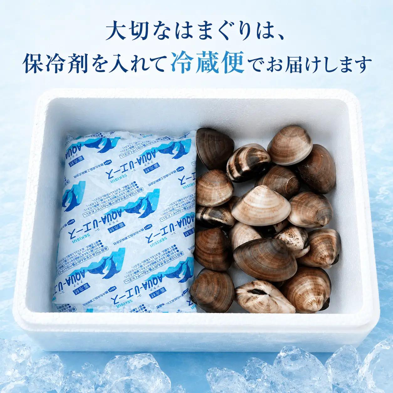 九十九里産　天然　活はまぐり（中玉～大玉） 約2kg（20～32個前後） / はまぐり ハマグリ 蛤 天然 活はまぐり 活ハマグリ 活蛤 中玉 大玉 貝 貝類 魚介 魚貝 海鮮 2kg 九十九里産 産