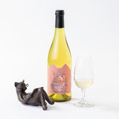 ふるさと納税 茅野市 ピノグリ[PinotGris] 750ml 1本