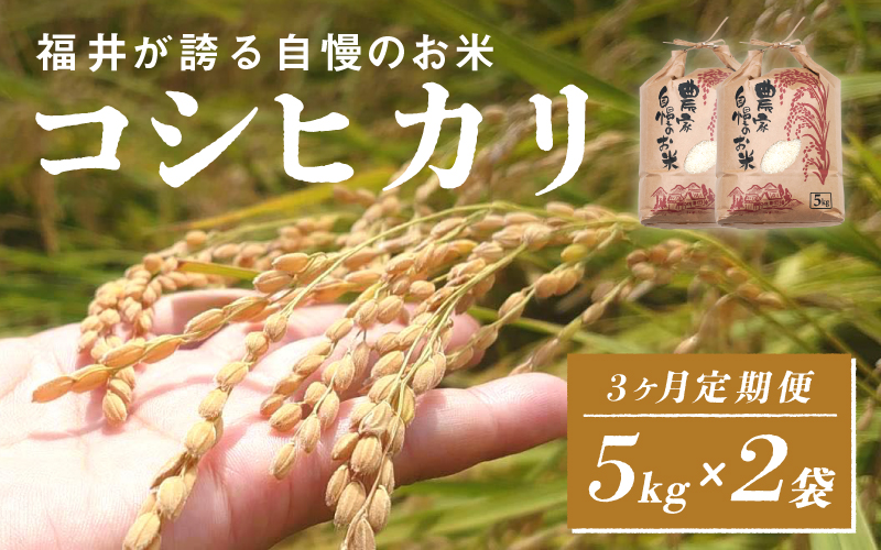 ＜2025年11月以降 順次発送予定＞令和7年産　コシヒカリ　定期便（3ヶ月連続お届け）計30kg（(5kg × 2袋) × 3回）
