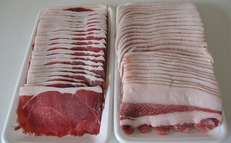 江の川shishi 味合いセット 1.1kg バラスライス600g モモスライス500g 猪肉 いのしし肉 イノシシ肉 ジビエ 未経産 猪汁 すき焼き 鍋 焼肉