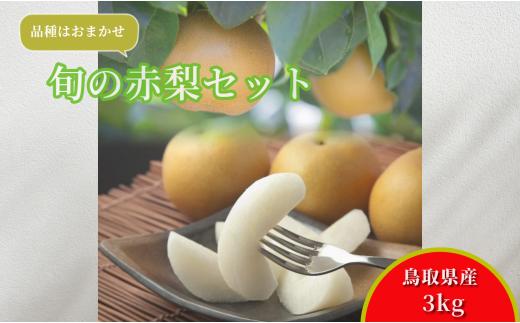 【'26先行予約】 旬の赤梨セット 3kg ( 品種はおまかせ )　[218-W18]