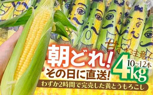 とうもとこし 黄とうもろこし 4kg | とうもろこし トウモロコシ コーン 野菜 やさい ヤサイ 夏野菜 玉蜀黍 朝採れ 朝どれ 新鮮 じゅわっ バーベキュー BBQ 冷製スープ 旬の味覚 所沢とうもろこし 所沢トウモロコシ ところざわ 株式会社corot 埼玉県所沢市
