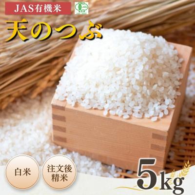 ふるさと納税 南相馬市 JAS有機米 天のつぶ 白米 5kg 令和7年産 根本有機農園