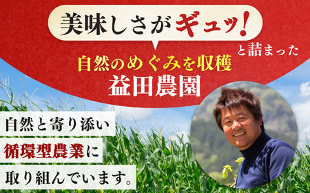 【なら育ち 益田農園】柿チップ小分け10袋セット |  柿 加工品 ドライフルーツ