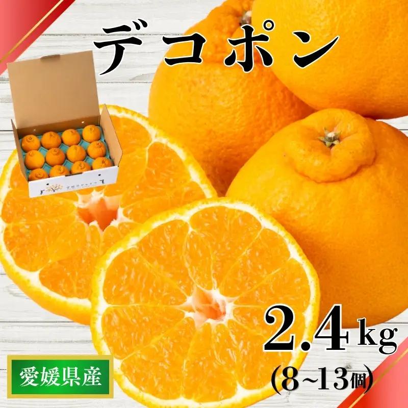 【2027年3月上旬より順次発送】デコポン 2.4kg｜B32
