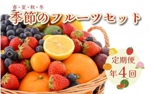 
                  定期便 フルーツセット 年4回お届け（春・夏・秋・冬）
                