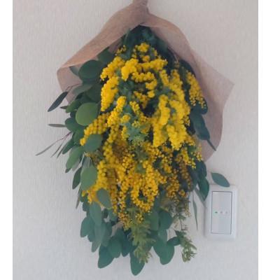 ふるさと納税 藤井寺市 毎年人気!春を運んでくるユーカリとミモザのスワッグ