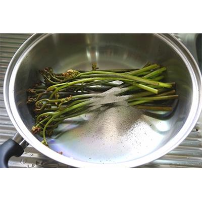 ふるさと納税 沼津市 木灰4kg　[楢・樫・クヌギ]広葉樹100%の木灰 |  | 03