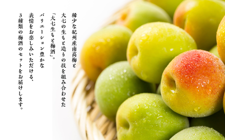 《2026年11月下旬以降順次発送》大七酒造 梅酒飲み比べセット「生もと梅酒 極上品720ml」「生もと梅酒300ml」「生もと梅酒シルキースパークリング300ml」合計3本【道の駅「安達」智恵子の里
