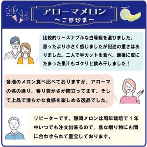 【毎月定期便】アローマメロン1玉(約1.0kg以上/玉)【静岡高級マスクメロン】　全8回【配送不可地域：離島・北海道・沖縄県】【4071902】
