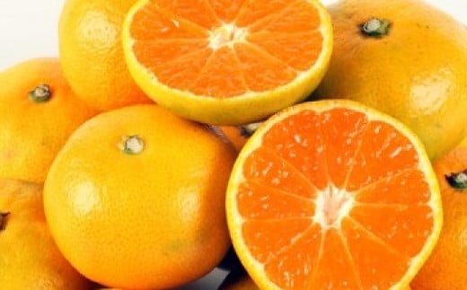 【先行予約】西都市産　極早生～早生みかん　5kg＜1-219＞