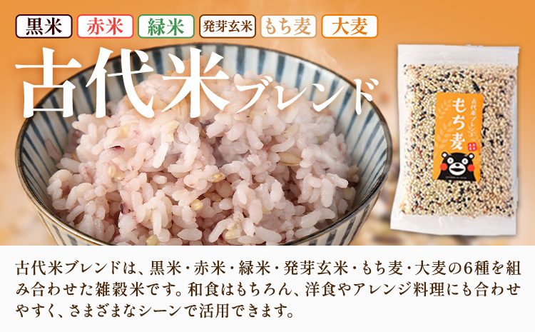 もち麦入り雑穀米 贅沢ブレンド 600g×3種類 各1袋 合同会社くまもとごはん《30日以内に出荷予定(土日祝除く)》熊本県菊池産 残留農薬不検出 真空パック 便利なチャック付 お米 もち麦 雑穀米 