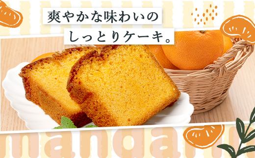 【鹿島高校 共同開発返礼品】SAGAみかん、っ娘。ケーキ 12箱（合計48個入り）E-169 スイーツ ケーキ 焼き菓子 焼菓子 みかん ミカン 蜜柑 みかんケーキ ミカンケーキ お土産 ご当地スイー