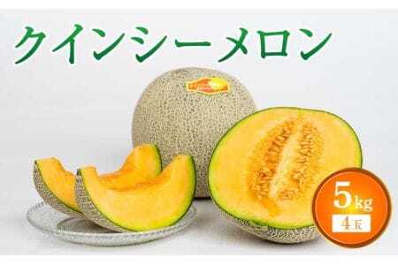 【先行予約】クインシーメロン 4玉入り 合計約5kg【2026年4月中旬〜5月中旬頃発送予定】