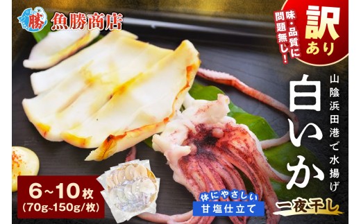 【訳アリ】白いか一夜干し （70g～150gｘ6～10枚） 訳アリ 小分け いか 白いか 無添加 個包装 一夜干し 産地直送 【136_1984】