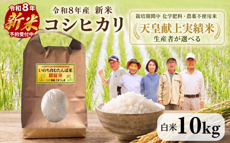 
                  【2026年9月中旬より順次発送】令和8年産 新米 コシヒカリ 10kg 選べる 天皇献上米 (栽培期間中）化学肥料・農薬不使用米 白米 精米 こめ ご飯 備蓄米 ごはん 環境 に優しい 小松島 上王子特質米 10kg
                
