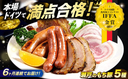 【全6回定期便】「瀬戸のもち豚」IFFA2022金賞受賞5点セット [BAER074]ソーセージ