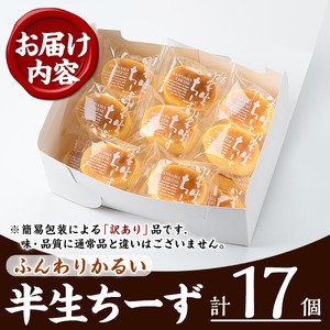 【訳あり！簡易包装】ご自宅用！半生ちーず 17個 ふわっふわのスフレタイプのプチケーキ！ 冷凍 個包装 スイーツ チーズケーキ【00-014-04】