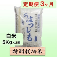 【毎月定期便】3ヶ月【令和6年産】特別栽培米5kg【白米】(ハツシモ)全3回