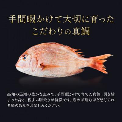 ふるさと納税 芸西村 高知県産　真鯛　藁焼きたたき【SKS044】 |  | 01