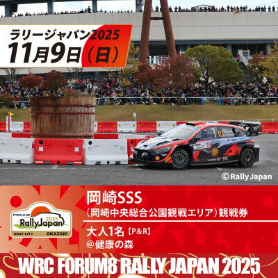 【ふるさと納税】ラリージャパン【岡崎SSS観戦券/大人1名(P&R)健康の森発】【1640101】