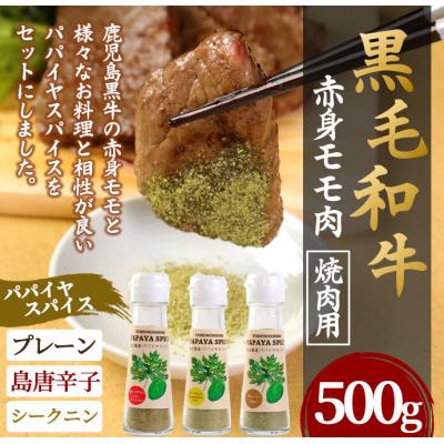 ふるさと納税 天城町 徳之島 天城町 鹿児島黒牛 赤身モモ肉 焼肉用 500g パパイヤスパイス 40g×3種セット