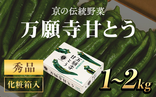 
＜2024年7月発送開始！＞万願寺甘とう　化粧箱入　秀品1～2kg / ふるさと納税 京野菜 旬の野菜 万願寺 甘とう とうがらし 大型 肉厚 甘い 京都府 福知山市
