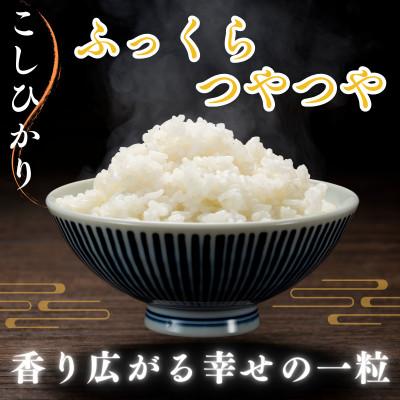 ふるさと納税 小浜市 令和7年産　農家直送　福井県産こしひかり　白米10kg(5kg×2袋) |  | 01