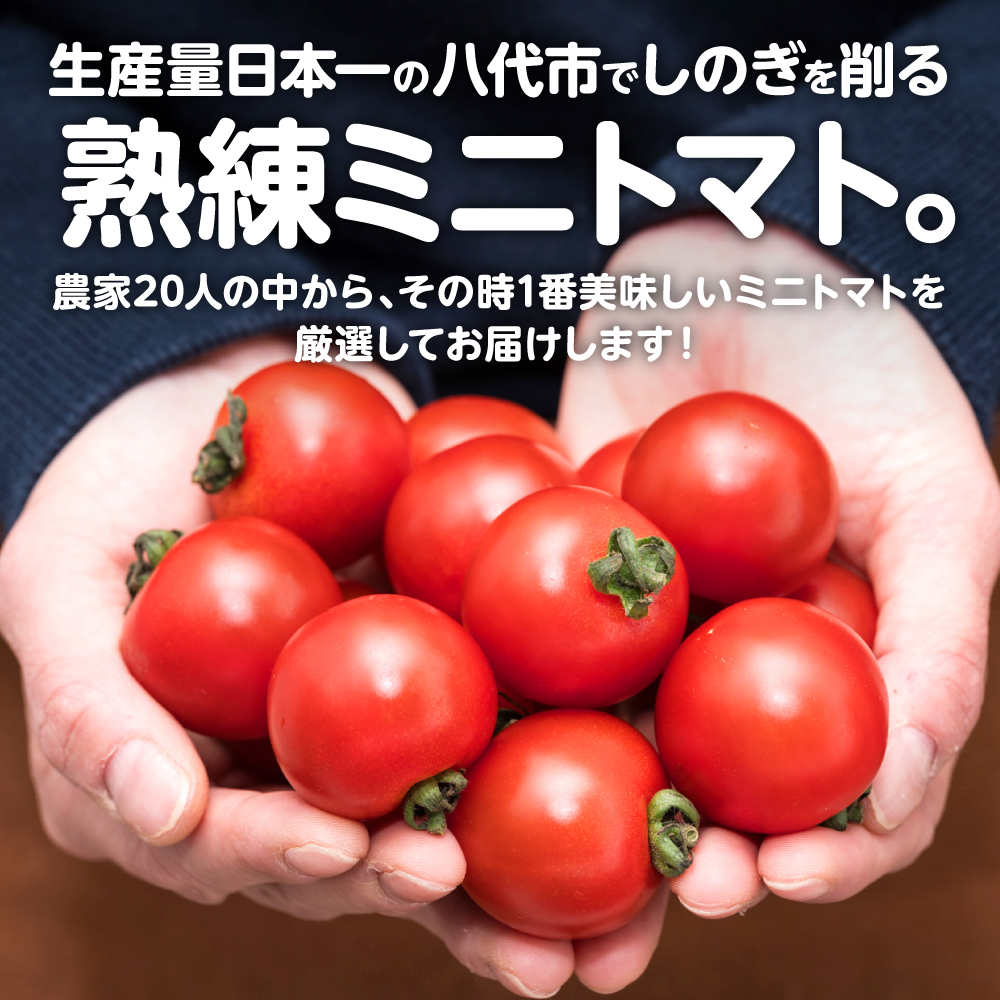 厳選ミニトマト 750g トマト 野菜 厳選 やさい サラダ 甘い