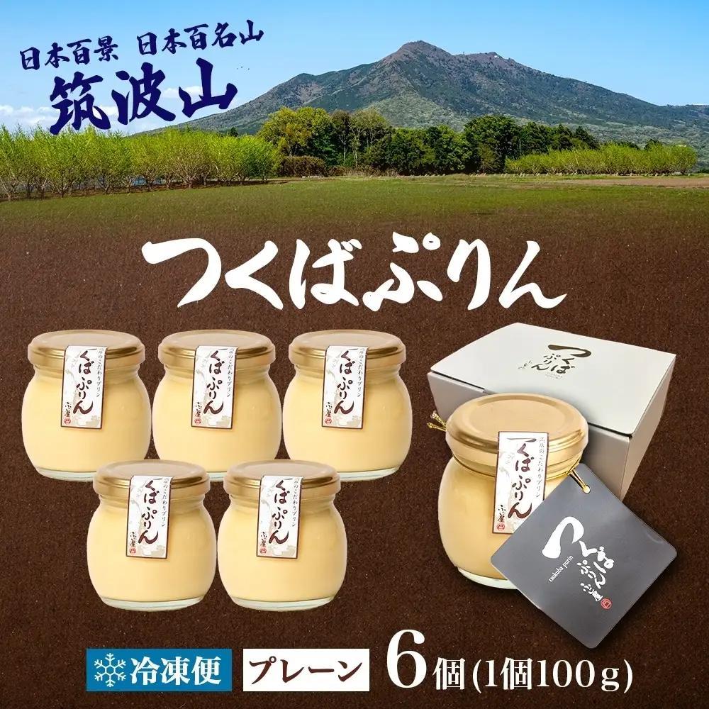 つくばぷりん プレーン 6個 冷凍 プリン ぷりん 牛乳 生乳 ミルク 卵 奥久慈卵 スイーツ 贅沢 洋菓子 おやつ 冷菓 ご褒美 デザート 専門店 人気 グルメ お取り寄せ ギフト プレゼント 贈り
