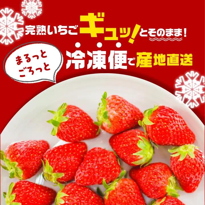 いちご 完熟冷凍いちご 3kg