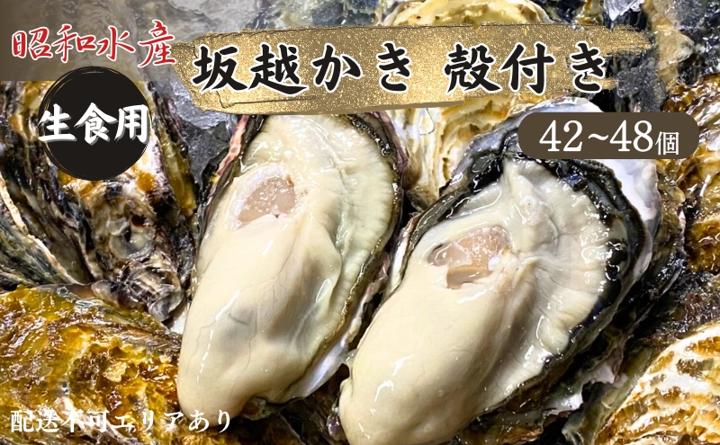 牡蠣 生食用 坂越かき 殻付き 42～48個 昭和水産 [ 生牡蠣 真牡蠣 かき カキ 冬牡蠣 ]