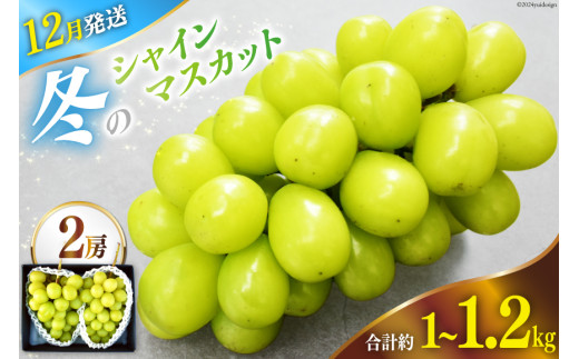 【2025年12月発送】【先行予約】魅惑のおいしさ! 冬のシャインマスカット 2房 (1.0kg～1.2kg相当) [韮崎翠緑 山梨県 韮崎市 20742911] NS-1008 シャインマスカット フルーツ 果物 マスカット シャイン ぶどう 葡萄 種無し