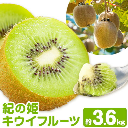 【ふるさと納税】紀の姫キウイフルーツ 約3.6kg (20-27玉入) サイズおまかせ JAわかやま 紀の里地域本部《1月上旬-3月中旬頃出荷》和歌山県 岩出市 キウイ キウイフルーツ 紀の姫 果物 くだもの フルーツ
