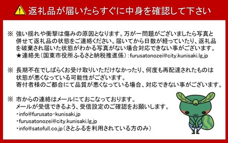 1707R_【令和6年12月中旬から発送】大分県産紅はるか（生芋）約10kg