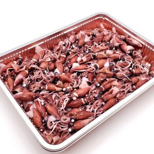 【期間限定】山陰の旬もの　釜揚げほたるいか(冷蔵)500g+素干しホタルイカ付き【配送不可地域：離島・北海道・沖縄県・東北】【1288227】