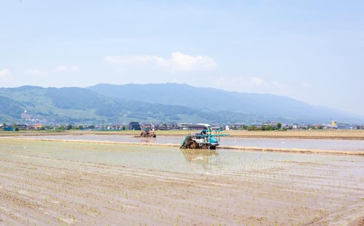 【12ヶ月定期便】みずほファーム UKIHA RICE (玄米5kg×12ヶ月)  【2025年11月より順次発送予定】 米 ヒノヒカリ  玄米 お米 ご飯 うきは市