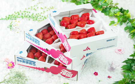 【全2回定期便】福岡産【春】 あまおう 4パック 《築上町》【南国フルーツ株式会社】果物 苺 いちご[ABET026]