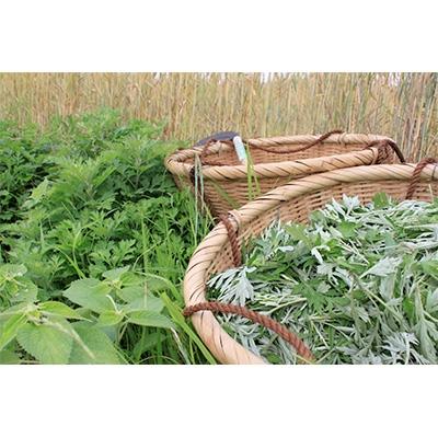 ふるさと納税 南島原市 島原よもぎうどん 250g×7袋 |  | 01