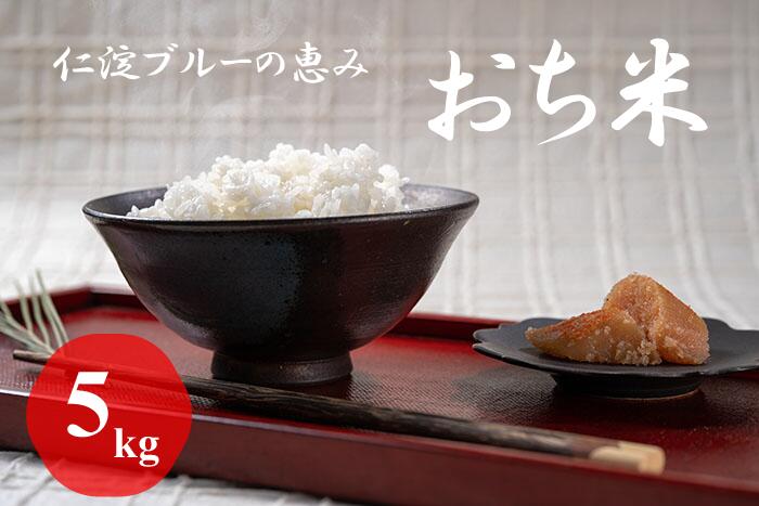 【ふるさと納税】「おち米」 5kg 白米 新米 数量限定 10月発送 お米 高知県産 越知町産 令和7年産 送料無料 こめ コメ 仁淀ブルーの恵み