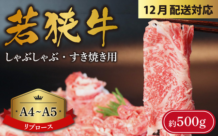 【年末特集】A4～A5ランク 若狭牛しゃぶしゃぶ・すき焼き用（リブロース） 約500g [B-066009_sp]