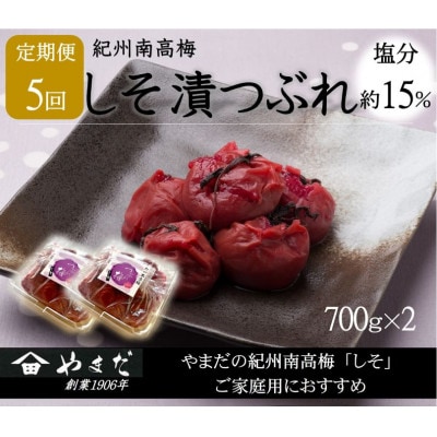 【2ヵ月毎定期便】紀州南高梅しそ漬つぶれ(塩分約15%)700g×2全5回【4086715】