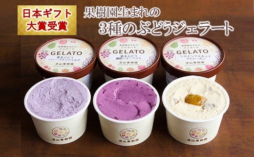 
【日本ギフト大賞受賞】 果樹園生まれの 3種のぶどうジェラート 6個セット 『漆山果樹園』 山形県 南陽市 [1378]
