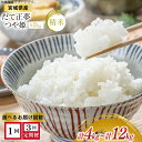 【ふるさと納税】米 宮城県産 だて正夢 & つや姫 各2kg 総計 4kg セット 【選べる内容量】1回4kg 3回12kg [菊武商店 宮城県 気仙沼市] お米 こめ コメ 白米 精米 ブランド米 ご飯 ごはん 小分け 家庭用 3ヶ月 感想