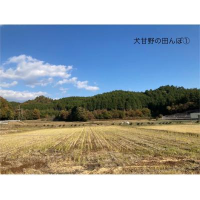 ふるさと納税 亀岡市 いぬかんの　キヌヒカリ　3kg |  | 01