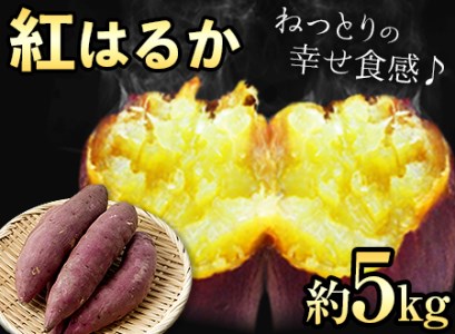 紅はるか約5kg《30日以内に出荷予定(土日祝除く)》有限会社ニシムラ 