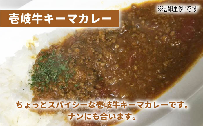 壱岐牛 煮込みハンバーグ キーマカレー セット 200g 5個《壱岐市》【壱岐味噌工房】[JBW005] 35000 35000円